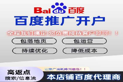 成功案例：网络推广与竞价广告的完美结合